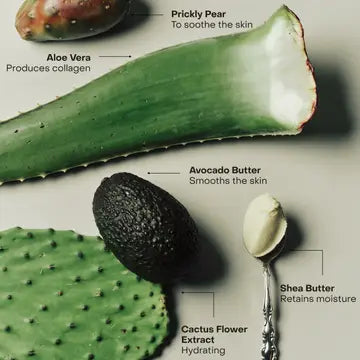 The Body Serum